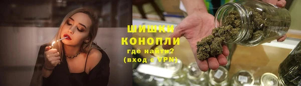 ПСИЛОЦИБИНОВЫЕ ГРИБЫ Баксан