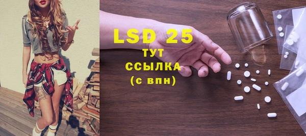 ПСИЛОЦИБИНОВЫЕ ГРИБЫ Баксан