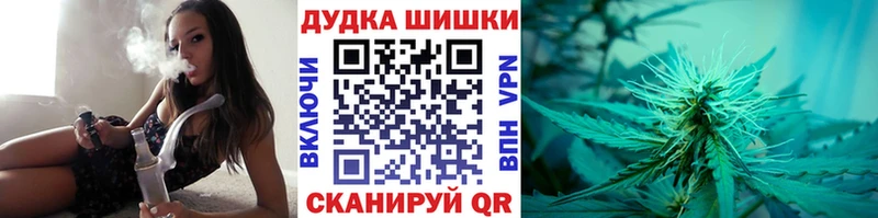Конопля Bruce Banner  Купить где  Новая Ляля 
